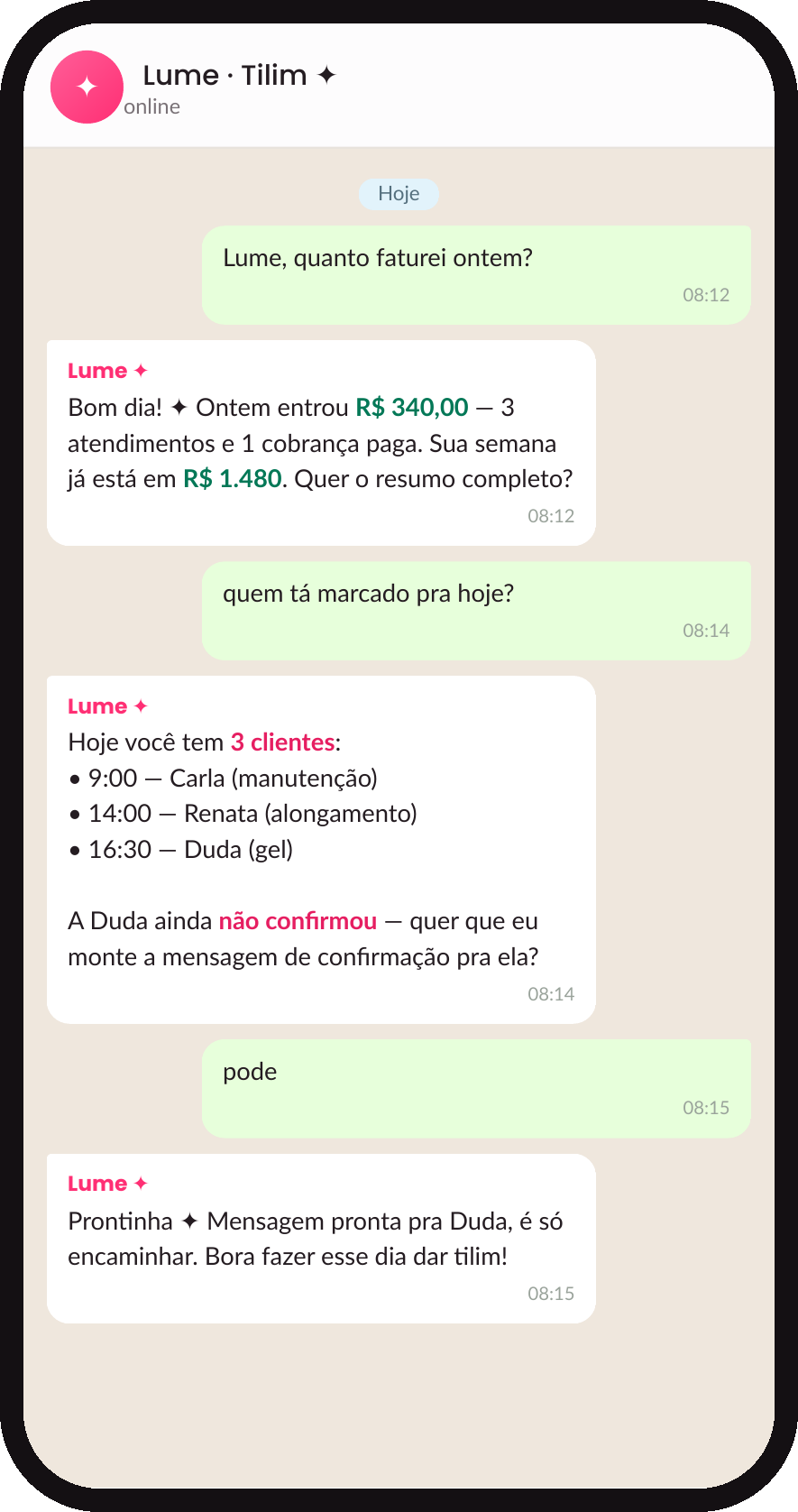 Lume respondendo no WhatsApp quanto foi faturado ontem e quem está agendado hoje